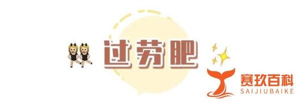 程序员颜值很高是一种什么体验?