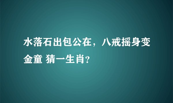 水落石出包公在，八戒摇身变金童 猜一生肖？