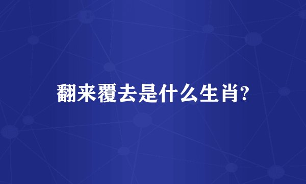 翻来覆去是什么生肖?
