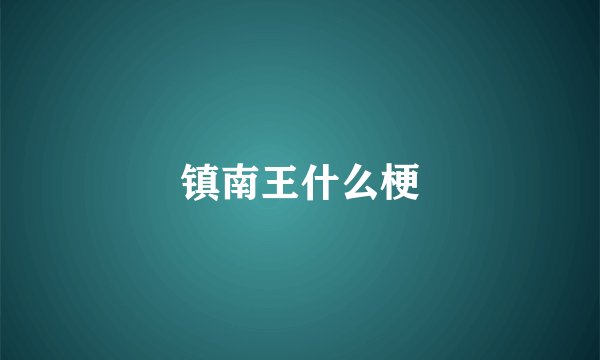 镇南王什么梗