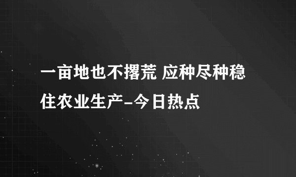 一亩地也不撂荒 应种尽种稳住农业生产-今日热点