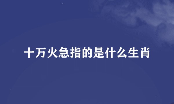 十万火急指的是什么生肖