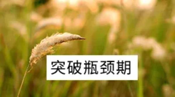 瓶颈期是什么意思