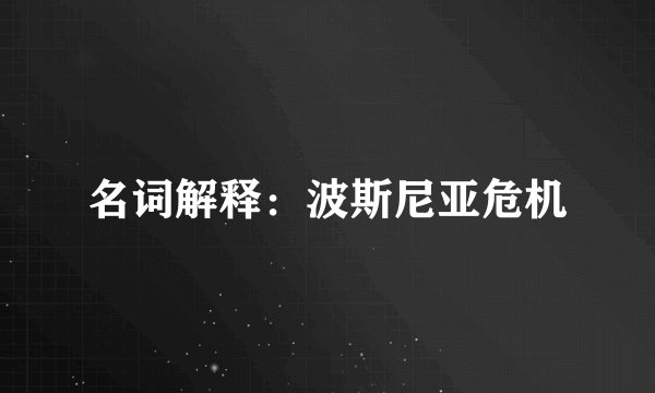 名词解释：波斯尼亚危机