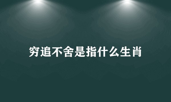 穷追不舍是指什么生肖