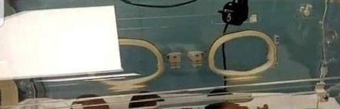 非洲妈妈一胎生下5女4男 这是咋情况?