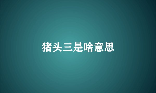 猪头三是啥意思