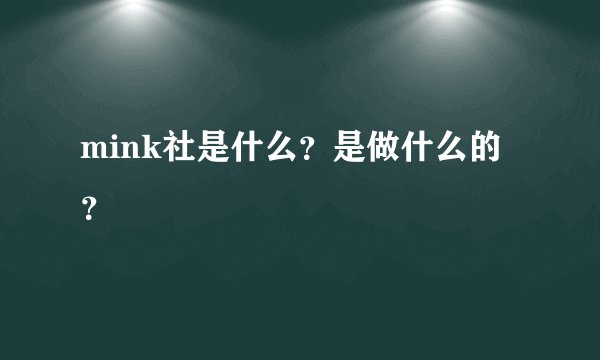 mink社是什么？是做什么的？