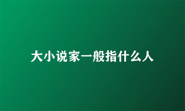 大小说家一般指什么人