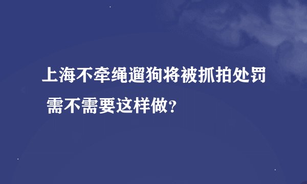 上海不牵绳遛狗将被抓拍处罚 需不需要这样做？