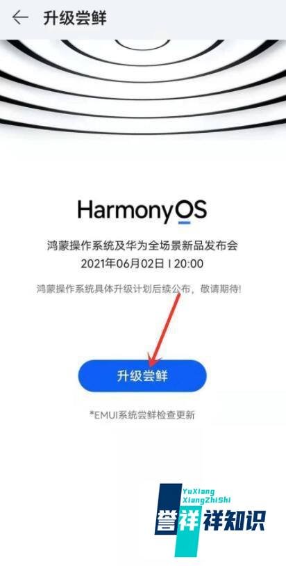 华为鸿蒙系统升级入口在哪找?