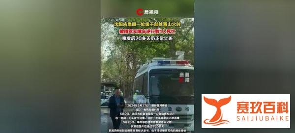 沈阳干部驾车处置山火致1死，已停职接受调查