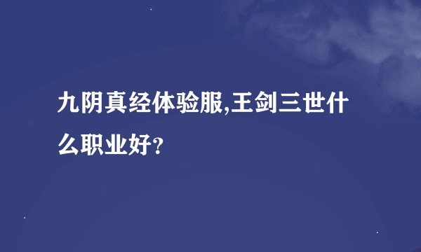 九阴真经体验服,王剑三世什么职业好？