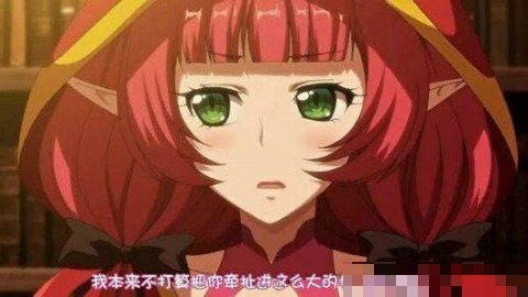 精灵の森へようこそ动漫有几集
