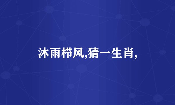 沐雨栉风,猜一生肖,