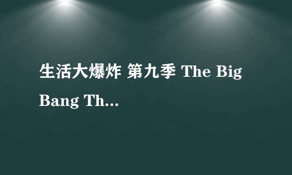 生活大爆炸 第九季 The Big Bang Theory Season 9 (2015)全集未删减高清版免费下载