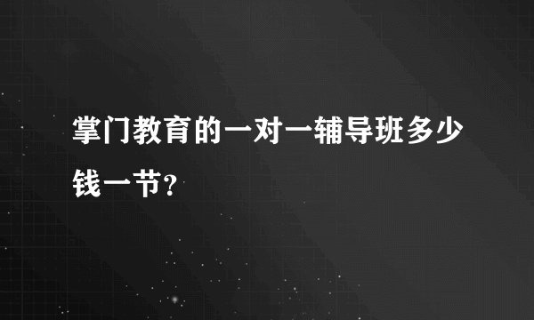 掌门教育的一对一辅导班多少钱一节?