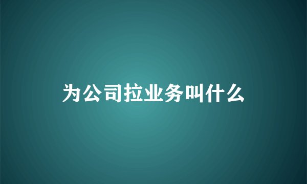 为公司拉业务叫什么