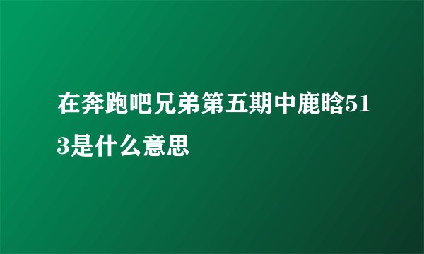 在奔跑吧兄弟第五期中鹿晗513是什么意思