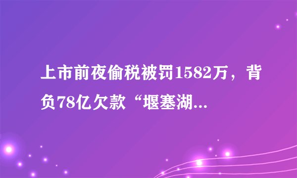 上市前夜偷税被罚1582万，背负78亿欠款“堰塞湖”，贝壳找房如何变成一家资本公司？
