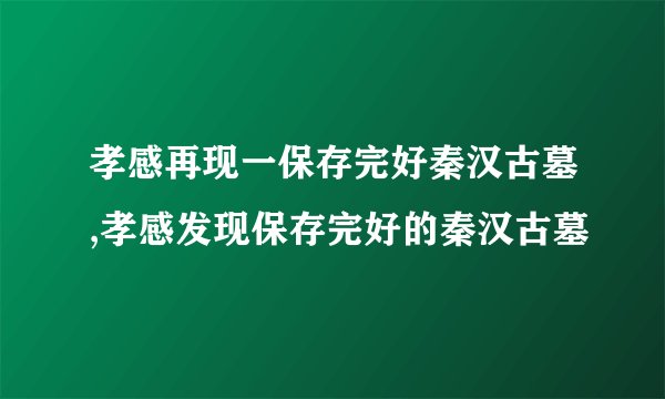 孝感再现一保存完好秦汉古墓,孝感发现保存完好的秦汉古墓