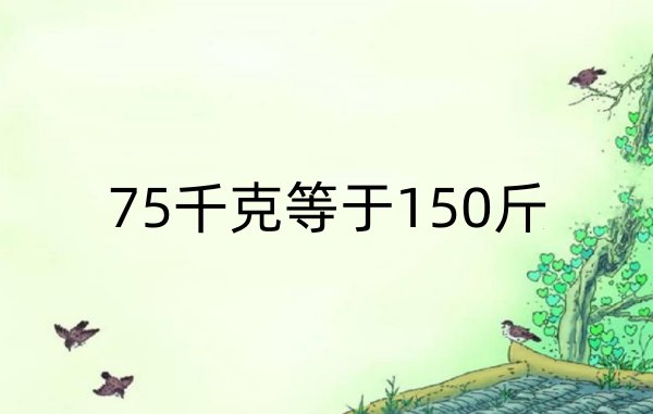 75千克等于多少斤