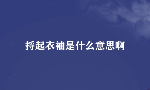 捋起衣袖是什么意思啊