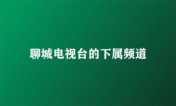 聊城电视台的下属频道