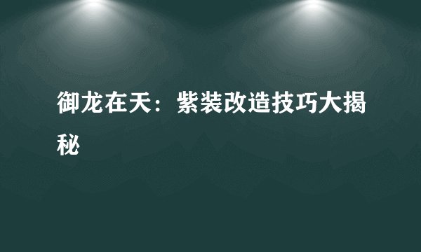御龙在天：紫装改造技巧大揭秘