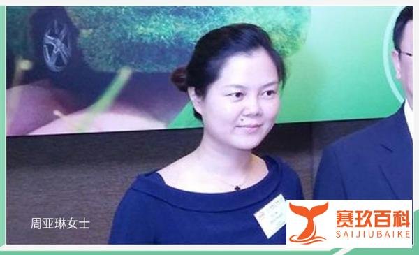 比亚迪财务总监吴经胜先生辞职 周亚琳女士接任