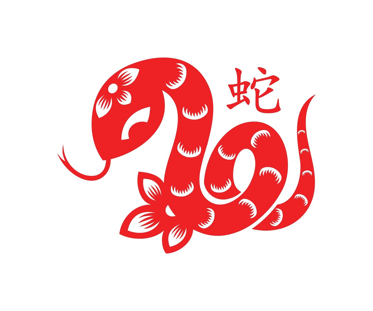 信马由缰是什么动物生肖
