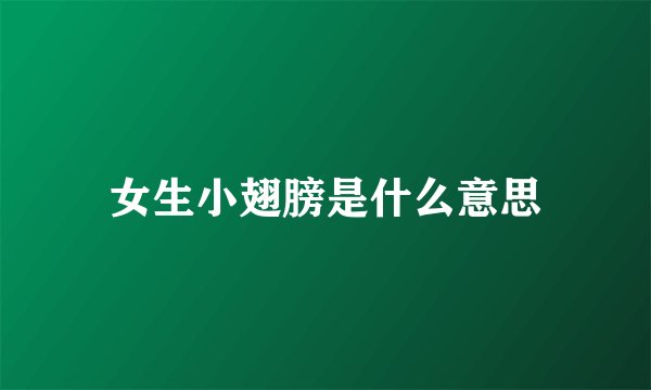 女生小翅膀是什么意思