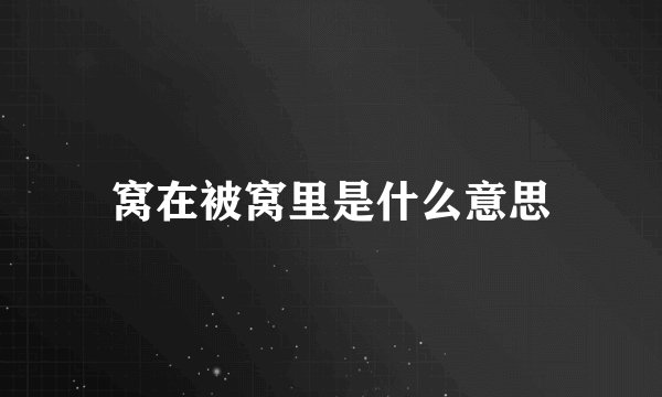 窝在被窝里是什么意思