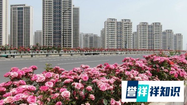 南京地铁 2 号线今日起全线恢复正常运营丨城市早报 20210510
