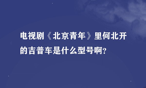 电视剧《北京青年》里何北开的吉普车是什么型号啊？