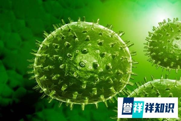 世界三大学术期刊为中国发声,这三本期刊来头有多大?