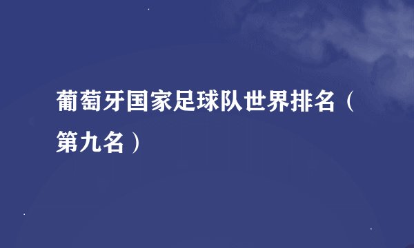 葡萄牙国家足球队世界排名（第九名）