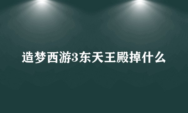 造梦西游3东天王殿掉什么