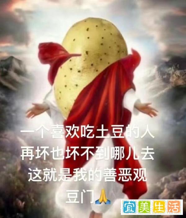 25汉硕|“麦门”“猫门”——浅析“X门”现象