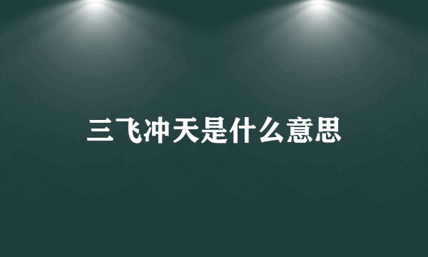 三飞冲天是什么意思