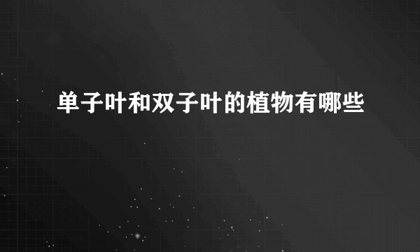 单子叶和双子叶的植物有哪些