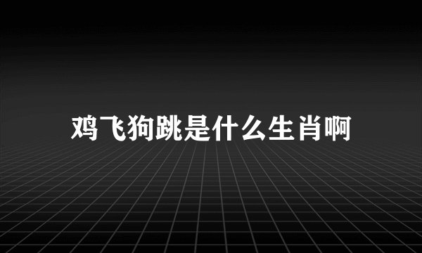 鸡飞狗跳是什么生肖啊