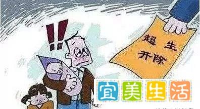 对公职人员不再“超生即开除”！全国多地修改地方性法规！