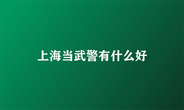 上海当武警有什么好