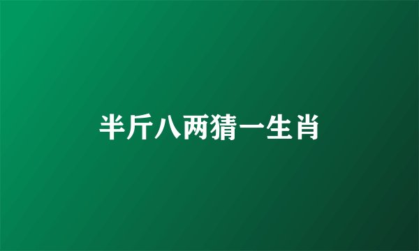 半斤八两猜一生肖
