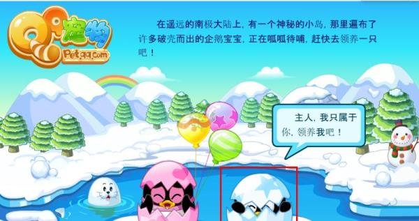 QQ宠物如何领养--详尽图文