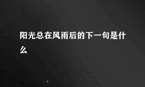阳光总在风雨后的下一句是什么
