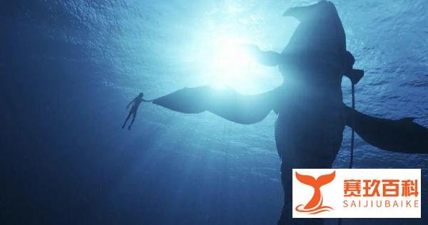 《阿凡达》预售3000万,票价为国产片3倍,卡梅隆的任性劝退观众