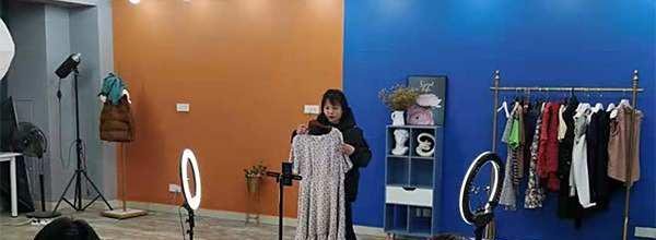 曹芬是什么梗