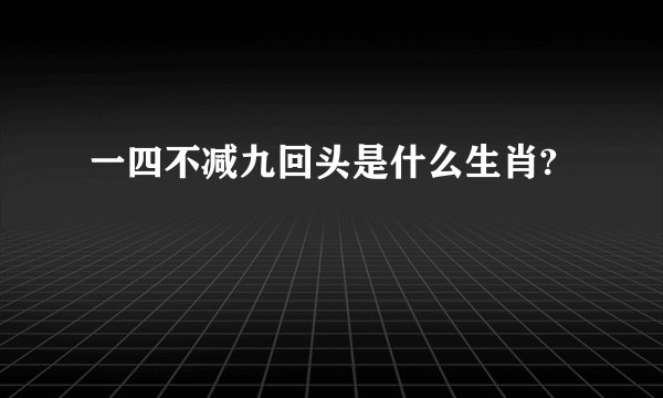 一四不减九回头是什么生肖?